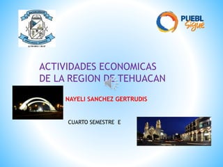 ACTIVIDADES ECONOMICAS
DE LA REGION DE TEHUACAN
NAYELI SANCHEZ GERTRUDIS
CUARTO SEMESTRE E
 