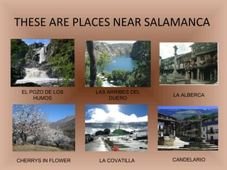 THESE ARE PLACES NEAR SALAMANCA  EL POZO DE LOS HUMOS LAS ARRIBES DEL DUERO LA ALBERCA CHERRYS IN FLOWER  LA COVATILLA CANDELARIO 
