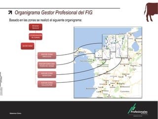 Organigrama Gestor Profesional del FIG
Director
General
COORDINADOR
DE ZONAS
ASESOR ZONA
SINCELEJO
ASESOR ZONA SAN
PEDRO DE URABA
ASESOR ZONA
MONTERIA
ASESOR ZONA
VALLEDUPAR
SECRETARIA
Basado en las zonas se realizó el siguiente organigrama:
 