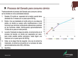 Procesos del Ganado para consumo cárnico
Tradicionalmente el proceso del Ganado para consumo cárnico
se ha dividido en cinco actividades básicas:
1. Destete: El novillo es separado de la madre cuando tiene
alrededor de 8 meses con un peso aprox180 Kg.
2. Estrés: Una vez destetado el novillo entra en una etapa de
estrés, en donde su cuerpo sufre modificaciones a nivel
hormonal que terminan produciendo alteraciones positivas
en las funciones vitales, disminuyendo aproximadamente
15 kilos de su peso en este periodo.
3. Levante: finalizada la etapa de estrés, el animal entra en el
proceso de levante, en donde son separados por sexo,
para evitar posible preñez prematura, hasta lograr una
madurez con un peso aprox de 300 Kg.
4. Ceba: es la etapa final de engorde. Una vez el animal ha
madurado, el animal se encuentra en un proceso de ceba
aproximadamente entre 300 y 450 kilos.
5. Sacrificio.
 