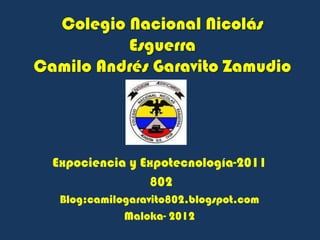 Colegio Nacional Nicolás
          Esguerra
Camilo Andrés Garavito Zamudio




  Expociencia y Expotecnología-2011
                 802
   Blog:camilogaravito802.blogspot.com
              Maloka- 2012
 