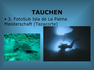 TAUCHEN 3. FotoSub Isla de La Palma Meisterschaft (Tazacorte) 