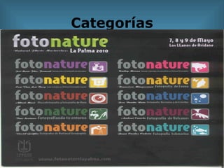 Categorías 