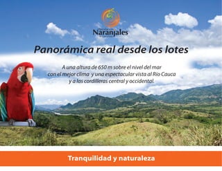 Parcelacion Naranjales de Cauca Viejo