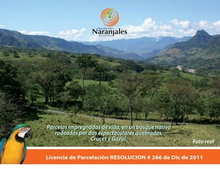 Parcelacion Naranjales de Cauca Viejo
