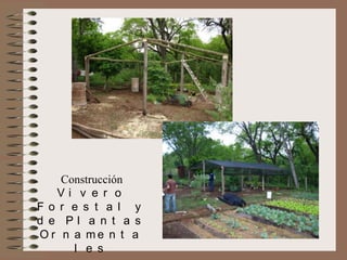 Construcción
Vi v e r o
Fo r e s t a l y
d e Pl a n t a s
O r n a me n t a
l e s

 