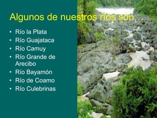 Algunos de nuestros ríos son… Río la Plata Río Guajataca Río Camuy Río Grande de Arecibo Río Bayamón Río de Coamo Río Culebrinas 