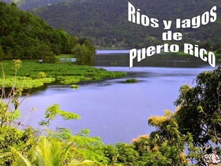 Ríos y lagos de Puerto Rico 