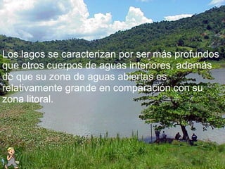 Los lagos se caracterizan por ser más profundos que otros cuerpos de aguas interiores, además de que su zona de aguas abiertas es relativamente grande en comparación con su zona litoral. 