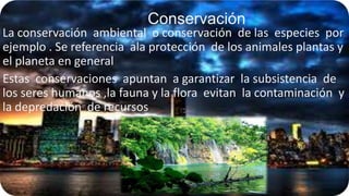 Conservación

La conservación ambiental o conservación de las especies por
ejemplo . Se referencia ala protección de los animales plantas y
el planeta en general
Estas conservaciones apuntan a garantizar la subsistencia de
los seres humanos ,la fauna y la flora evitan la contaminación y
la depredación de recursos

 
