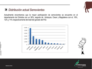 Distribución actual Semovientes
Actualmente encontramos que la mayor participación de semovientes se encuentra en el
departamento de Córdoba con un 36%, seguido de Antioquia, Cesar y Magdalena con el, 18%,
12% y 11% respectivamente del total del ganado del FIG:

 