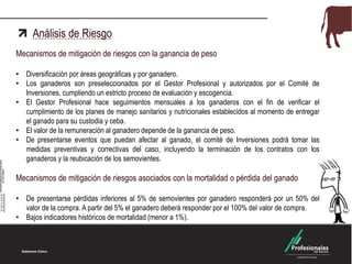 Análisis de Riesgo
Mecanismos de mitigación de riesgos con la ganancia de peso
• Diversificación por áreas geográficas y por ganadero.
• Los ganaderos son preseleccionados por el Gestor Profesional y autorizados por el Comité de
Inversiones, cumpliendo un estricto proceso de evaluación y escogencia.
• El Gestor Profesional hace seguimientos mensuales a los ganaderos con el fin de verificar el
cumplimiento de los planes de manejo sanitarios y nutricionales establecidos al momento de entregar
el ganado para su custodia y ceba.
• El valor de la remuneración al ganadero depende de la ganancia de peso.
• De presentarse eventos que puedan afectar al ganado, el comité de Inversiones podrá tomar las
medidas preventivas y correctivas del caso, incluyendo la terminación de los contratos con los
ganaderos y la reubicación de los semovientes.
Mecanismos de mitigación de riesgos asociados con la mortalidad o pérdida del ganado
• De presentarse pérdidas inferiores al 5% de semovientes por ganadero responderá por un 50% del
valor de la compra. A partir del 5% el ganadero deberá responder por el 100% del valor de compra.
• Bajos indicadores históricos de mortalidad (menor a 1%).
 