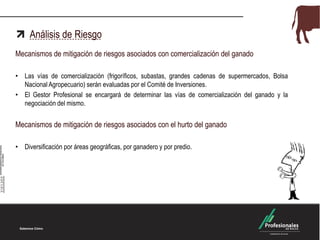 Análisis de Riesgo
Mecanismos de mitigación de riesgos asociados con comercialización del ganado
• Las vías de comercialización (frigoríficos, subastas, grandes cadenas de supermercados, Bolsa
Nacional Agropecuario) serán evaluadas por el Comité de Inversiones.
• El Gestor Profesional se encargará de determinar las vías de comercialización del ganado y la
negociación del mismo.
Mecanismos de mitigación de riesgos asociados con el hurto del ganado
• Diversificación por áreas geográficas, por ganadero y por predio.
 