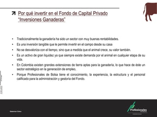 • Tradicionalmente la ganadería ha sido un sector con muy buenas rentabilidades.
• Es una inversión tangible que le permite invertir en el campo desde su casa
• No se desvaloriza con el tiempo, sino que a medida que el animal crece, su valor también.
• Es un activo de gran liquidez ya que siempre existe demanda por el animal en cualquier etapa de su
vida.
• En Colombia existen grandes extensiones de tierra aptas para la ganadería, lo que hace de éste un
sector estratégico en la generación de empleo,
• Porque Profesionales de Bolsa tiene el conocimiento, la experiencia, la estructura y el personal
calificado para la administración y gestoría del Fondo.
Por qué invertir en el Fondo de Capital Privado
“Inversiones Ganaderas”
 