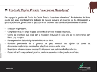 Fondo de Capital Privado “Inversiones Ganaderas”
Para apoyar la gestión del Fondo de Capital Privado “Inversiones Ganaderas”, Profesionales de Bolsa
cuenta con grupo interdisciplinario dedicado de manera exclusiva al desarrollo de la Administración y
gestoría profesional, garantizando la ejecución de las funciones bajo los más altos estándares de calidad.
• Selección de ganaderos.
• Compra selectiva por rango de peso, coherentes al proceso de ceba del ganado.
• Control de inventaros que inicia con la marcación individual de cada uno de los semovientes con
hierro, chip y orejera.
• Planes periódicos de control y mantenimiento de las fincas.
• Monitoreo permanente de la ganancia de peso mensual para ajustar los planes de
alimentación, suplementos nutricionales, rotación de potreros, entre otros.
• Seguimiento a la estructura de maduración del ganado para optimizar el ciclo productivo.
• Comercialización asegurada del ganado a través de convenios con las grandes superficies.
 