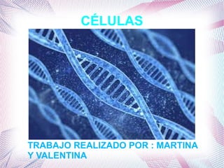 CÉLULAS
TRABAJO REALIZADO POR : MARTINA
Y VALENTINA