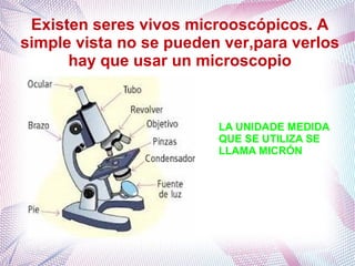 Existen seres vivos microoscópicos. A
simple vista no se pueden ver,para verlos
hay que usar un microscopio
LA UNIDADE MEDIDA
QUE SE UTILIZA SE
LLAMA MICRÓN