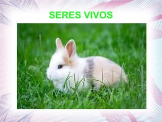 SERES VIVOS