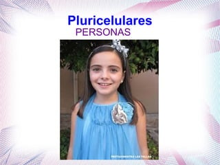 Pluricelulares
PERSONAS
