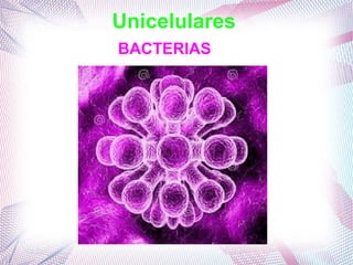 Unicelulares
BACTERIAS