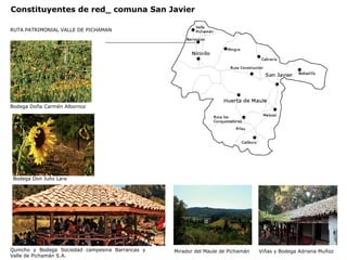 RUTA PATRIMONIAL VALLE DE PICHAMAN Constituyentes de red_ comuna San Javier Bodega Doña Carmén Albornoz Quincho y Bodega Sociedad campesina Barrancas y Valle de Pichamán S.A. Bodega Don Julio Lara Viñas y Bodega Adriana Muñoz Mirador del Maule de Pichamán 