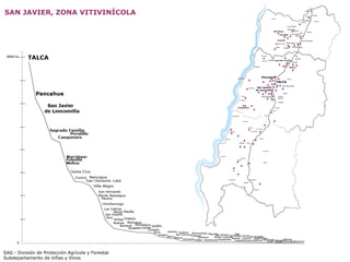 SAG - División de Protección Agrícola y Forestal Subdepartamento de Viñas y Vinos SAN JAVIER, ZONA VITIVINÍCOLA 