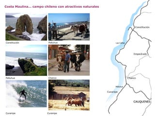 Costa Maulina… campo chileno con atractivos naturales Constitución Pelluhue Curanipe Pelluhue Chanco Curanipe 
