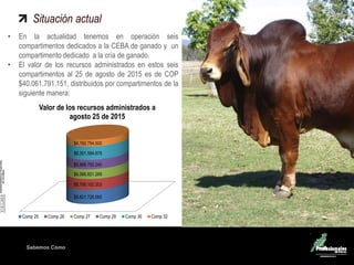 Sabemos Cómo
Situación actual
• En la actualidad tenemos en operación seis
compartimentos dedicados a la CEBA de ganado y un
compartimento dedicado a la cría de ganado.
• El valor de los recursos administrados en estos seis
compartimentos al 25 de agosto de 2015 es de COP
$40.061.791.151, distribuidos por compartimentos de la
siguiente manera:
$8.821.726.060
$6.790.102.203
$6.066.821.269
$5.888.792.240
$8.301.594.878
$4.192.754.500
Valor de los recursos administrados a
agosto 25 de 2015
Comp 25 Comp 26 Comp 27 Comp 29 Comp 30 Comp 32
 