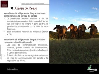 Sabemos Cómo
Fondo de Capital Privado – Inversiones Ganaderas
Análisis de Riesgo
Mecanismos de mitigación de riesgos asociados
con la mortalidad o pérdida del ganado
• De presentarse pérdidas inferiores al 5% de
semovientes por ganadero, éste responderá por un
50% del valor de la compra. A partir del 5%, el
ganadero deberá responder por el 100% del valor
de compra.
• Bajos indicadores históricos de mortalidad (menor
a 1%).
Mecanismos de mitigación de riesgos asociados
con comercialización del ganado
• Las vías de comercialización (frigoríficos,
subastas, grandes cadenas de supermercados,
Bolsa Nacional Agropecuario) serán evaluadas por
el Comité de Inversiones.
• El Gestor Profesional se encargará de determinar
las vías de comercialización del ganado y la
negociación del mismo.
 