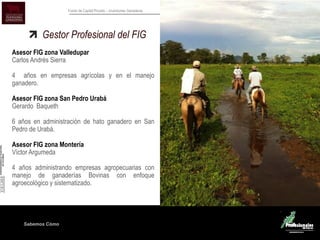 Sabemos Cómo
Fondo de Capital Privado – Inversiones Ganaderas
Gestor Profesional del FIG
Asesor FIG zona Valledupar
Carlos Andrés Sierra
4 años en empresas agrícolas y en el manejo
ganadero.
Asesor FIG zona San Pedro Urabá
Gerardo Baqueth
6 años en administración de hato ganadero en San
Pedro de Urabá.
Asesor FIG zona Montería
Víctor Argumeda
4 años administrando empresas agropecuarias con
manejo de ganaderías Bovinas con enfoque
agroecológico y sistematizado.
 