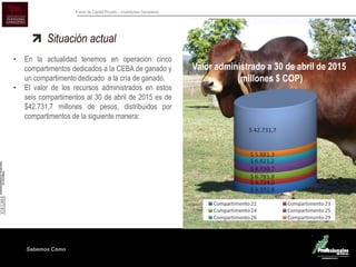 Sabemos Cómo
Fondo de Capital Privado – Inversiones Ganaderas
Situación actual
• En la actualidad tenemos en operación cinco
compartimentos dedicados a la CEBA de ganado y
un compartimento dedicado a la cría de ganado.
• El valor de los recursos administrados en estos
seis compartimentos al 30 de abril de 2015 es de
$42.731,7 millones de pesos, distribuidos por
compartimentos de la siguiente manera:
Valor administrado a 30 de abril de 2015
(millones $ COP)
 