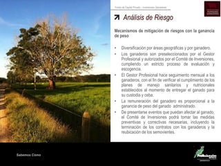 Sabemos Cómo
Fondo de Capital Privado – Inversiones Ganaderas
Análisis de Riesgo
Mecanismos de mitigación de riesgos con la ganancia
de peso
• Diversificación por áreas geográficas y por ganadero.
• Los ganaderos son preseleccionados por el Gestor
Profesional y autorizados por el Comité de Inversiones,
cumpliendo un estricto proceso de evaluación y
escogencia.
• El Gestor Profesional hace seguimiento mensual a los
ganaderos, con el fin de verificar el cumplimiento de los
planes de manejo sanitarios y nutricionales
establecidos al momento de entregar el ganado para
su custodia y ceba.
• La remuneración del ganadero es proporcional a la
ganancia de peso del ganado administrado.
• De presentarse eventos que puedan afectar al ganado,
el Comité de Inversiones podrá tomar las medidas
preventivas y correctivas necesarias, incluyendo la
terminación de los contratos con los ganaderos y la
reubicación de los semovientes.
 
