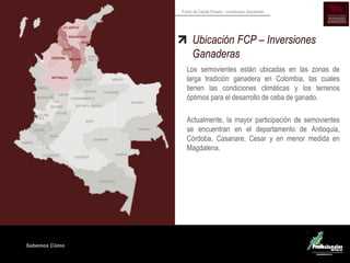 Sabemos Cómo
Fondo de Capital Privado – Inversiones Ganaderas
Ubicación FCP – Inversiones
Ganaderas
Los semovientes están ubicadas en las zonas de
larga tradición ganadera en Colombia, las cuales
tienen las condiciones climáticas y los terrenos
óptimos para el desarrollo de ceba de ganado.
Actualmente, la mayor participación de semovientes
se encuentran en el departamento de Antioquia,
Córdoba, Casanare, Cesar y en menor medida en
Magdalena.
 
