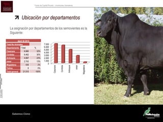 Sabemos Cómo
Fondo de Capital Privado – Inversiones Ganaderas
Ubicación por departamentos
La asignación por departamentos de los semovientes es la
Siguiente:
0
1.000
2.000
3.000
4.000
5.000
6.000
7.000
Casanare
Cordoba
Antioquia
cesar
Magdalena
Abril 30 2015
Total No Animales
Departamento Total %
Casanare 6.980 32%
Cordoba 6.462 30%
Antioquia 4.887 23%
cesar 2.743 13%
Magdalena 435 2%
Tolima 8 0%
Total general 21.515 100%
 