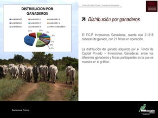 Sabemos Cómo
Fondo de Capital Privado – Inversiones Ganaderas
Distribución por ganaderos
El F.C.P Inversiones Ganaderas, cuenta con 21.515
cabezas de ganado, con 21 fincas en operación.
La distribución del ganado adquirido por el Fondo de
Capital Privado – Inversiones Ganaderas, entre los
diferentes ganaderos y fincas participantes es la que se
muestra en el gráfico.
 