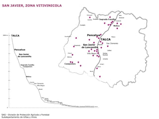 SAG - División de Protección Agrícola y Forestal Subdepartamento de Viñas y Vinos SAN JAVIER, ZONA VITIVINICOLA 
