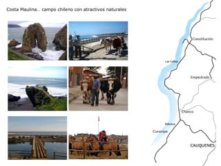 Costa Maulina… campo chileno con atractivos naturales 