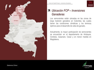 Sabemos Cómo 
Fondo de Capital Privado – Inversiones Ganaderas Ubicación FCP – Inversiones Ganaderas 
Los semovientes están ubicadas en las zonas de larga tradición ganadera en Colombia, las cuales tienen las condiciones climáticas y los terrenos óptimos para el desarrollo de ceba de ganado. 
Actualmente, la mayor participación de semovientes se encuentran en el departamento de Antioquia, Córdoba, Casanare, Cesar y en menor medida en Magdalena. 
 