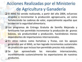Acciones Realizadas por el Ministerio de Agricultura y Ganadería El MAG ha venido realizando, a partir del año 2004, esfuerzos dirigidos a incrementar la producción agropecuaria, así como fortaleciendo las cadenas de valor, especialmente aquellas que inciden en la seguridad alimentaria. Los programas de Entrega Gratuita de Semilla Mejorada y fertilizante han permitido incrementar la producción de  granos básicos, vía productividad y producción, haciéndonos menos dependientes de importaciones internacionales.  En otros rubros como hortalizas y frutas, con los apoyos generados por el MAG, se han logrado incrementos sustanciales de producción que incluso han permitido precios más estables.  Se han aprovechado los mercados internacionales, incrementando sustancialmente las exportaciones de nuestros productos. 06/03/09 