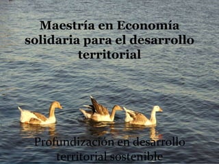 Maestría en Economía
solidaria para el desarrollo
territorial
Profundización en desarrollo
territorial sostenible
 