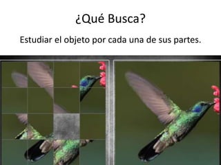 ¿Qué Busca?
Estudiar el objeto por cada una de sus partes.
 