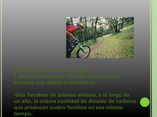 •Reduciendo el uso de tu carro
1 auto contribuye un 10% del monóxido de
carbono que afecta la atmósfera.
•Una hectárea de árboles elimina, a lo largo de
un año, la misma cantidad de dióxido de carbono
que producen cuatro familias en ese mismo
tiempo.
 