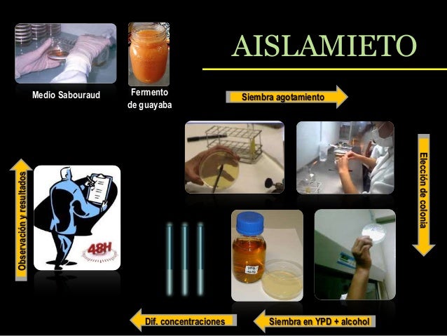 Los preparados para el tratamiento del alcoholismo el precio