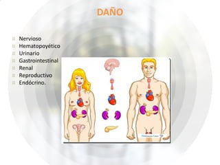 DAÑO
¤ Nervioso
¤ Hematopoyético
¤ Urinario
¤ Gastrointestinal
¤ Renal
¤ Reproductivo
¤ Endócrino.
 