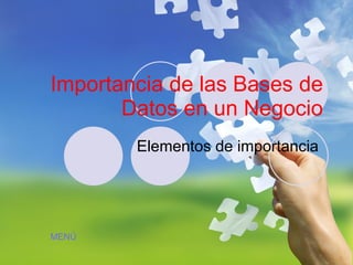 Importancia de las Bases de Datos en un Negocio Elementos de importancia  MENÚ 