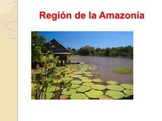 Región de la Amazonía
 