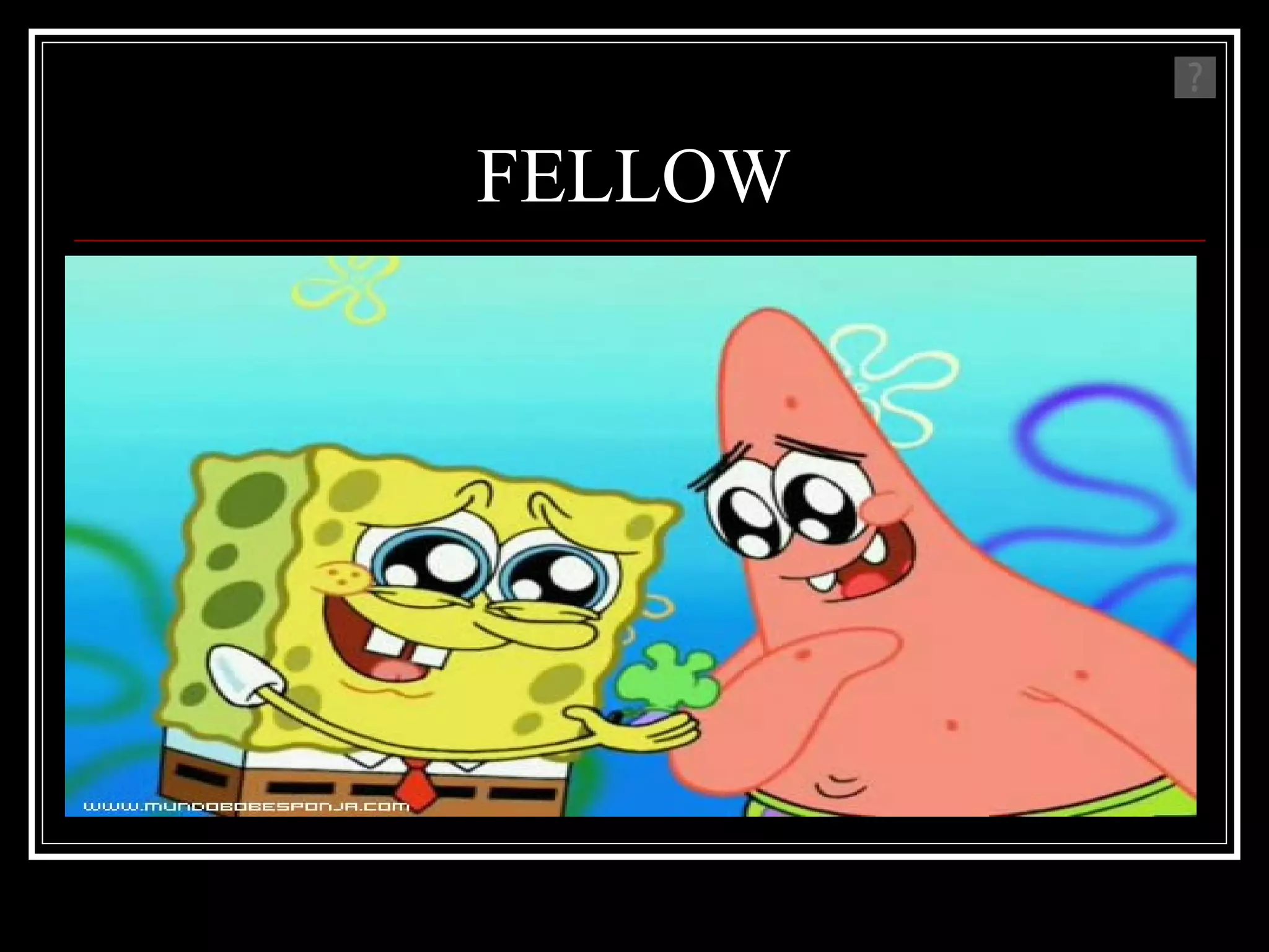 FELLOW