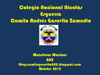 Colegio Nacional Nicolás
          Esguerra
Camilo Andrés Garavito Zamudio




           Monstruos Marinos
                  802
   Blog:camilogaravito802.blogspot.com
              Maloka- 2012
 