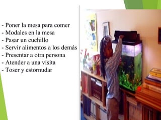 - Poner la mesa para comer
- Modales en la mesa
- Pasar un cuchillo
- Servir alimentos a los demás
- Presentar a otra persona
- Atender a una visita
- Toser y estornudar
 