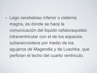 • Lago cerebeloso inferior o cisterna 
magna, es donde se hace la 
comunicación del liquido cefaloraquideo 
intraventricular con el de los espacios 
subaracnoideos por medio de los 
agujeros de Magendie y de Luschka, que 
perforan el techo del cuarto ventrículo. 
 